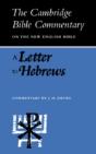 A Letter To Hebrews - Preview