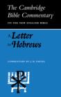 A Letter To Hebrews - Preview