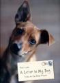 A Letter To My Dog - Preview