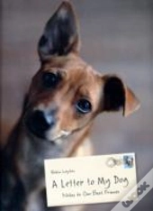 A Letter To My Dog