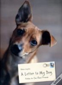 Capa do artigo A Letter To My Dog