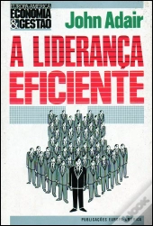 A Liderança Eficiente