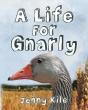 A Life For Gnarly - Preview