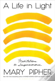 Capa do artigo A Life In Light