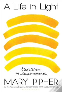 Capa do artigo A Life In Light