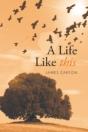 A Life Like This - Preview