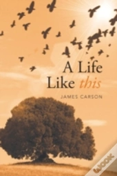 A Life Like This