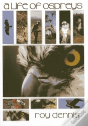 Capa do artigo A Life Of Ospreys