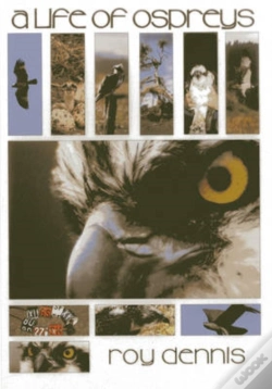 Capa do artigo A Life Of Ospreys