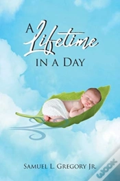 Capa do artigo A Lifetime In A Day