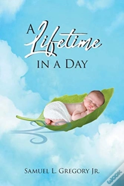 Capa do artigo A Lifetime In A Day