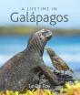 A Lifetime In Galapagos - Preview