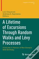 A Lifetime Of Excursions Through Random Walks And Levy Processes