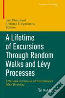 A Lifetime Of Excursions Through Random Walks And Levy Processes