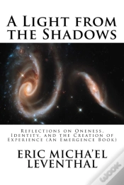 Capa do artigo A Light From The Shadows: Reflections On