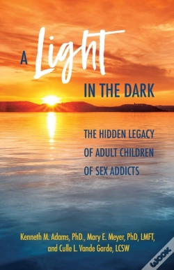 Capa do artigo A Light In The Dark