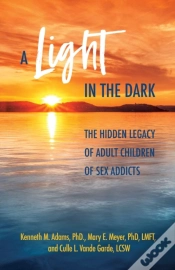 Capa do artigo A Light In The Dark