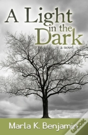 Capa do artigo A Light In The Dark