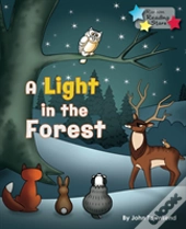 A Light In The Forest