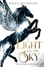 A Light In The Sky