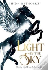 A Light In The Sky