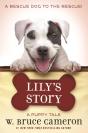 A Lily'S Story - Preview