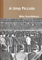 Capa do artigo A Limp Piccolo