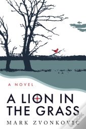 A Lion In The Grass