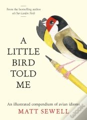 Capa do artigo A Little Bird Told Me