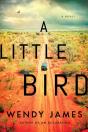 A Little Bird - Preview