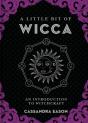 A Little Bit Of Wicca - Preview