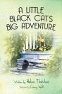 A Little Black Cat'S Big Adventure - Preview
