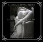 A Little Book About Grief: Divine Messag - Preview