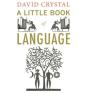 A Little Book Of Language - Preview
