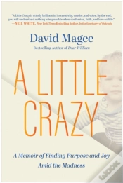 Capa do artigo A Little Crazy