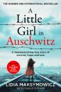A Little Girl In Auschwitz - Preview