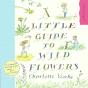 A Little Guide To Wild Flowers - Preview