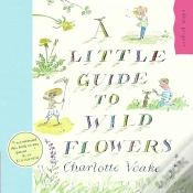Capa do artigo A Little Guide To Wild Flowers