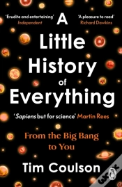 Capa do artigo A Little History Of Everything