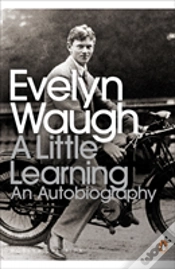 Capa do artigo A Little Learning