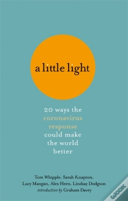 Capa do artigo A Little Light