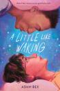 A Little Like Waking - Preview