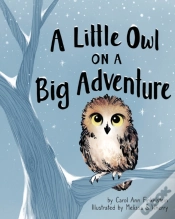 Capa do artigo A Little Owl On A Big Adventure