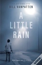 Capa do artigo A Little Rain
