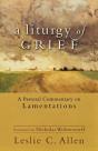 A Liturgy Of Grief Â€“ A Pastoral Commentary On Lamentations - Preview