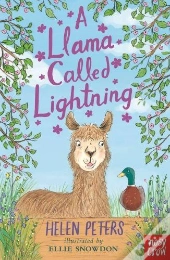 A Llama Called Lightning