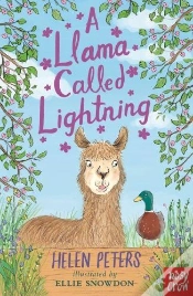 Capa do artigo A Llama Called Lightning