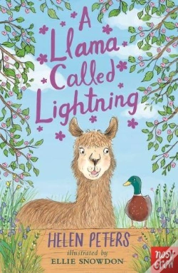 Capa do artigo A Llama Called Lightning