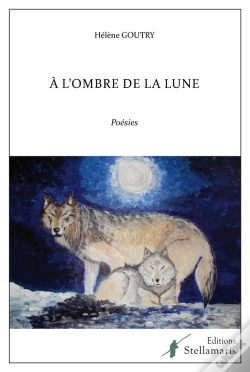 Capa do artigo A L'Ombre De La Lune