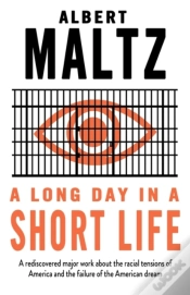 Capa do artigo A Long Day In A Short Life